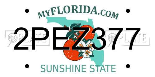 2PEZ377 Florida License Plate