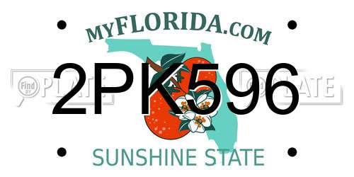 2PK596 Florida License Plate