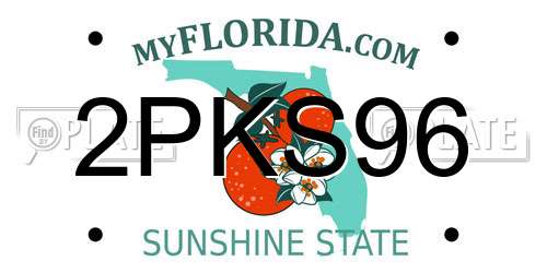 2PKS96 Florida License Plate