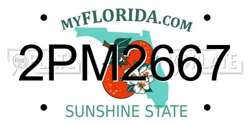 2PM2667 Florida License Plate