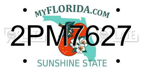 2PM7627 Florida License Plate