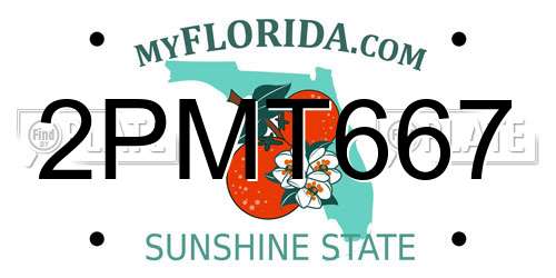 2PMT667 Florida License Plate