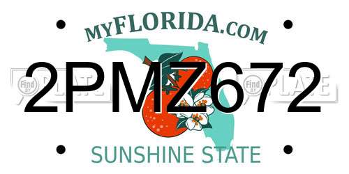 2PMZ672 Florida License Plate