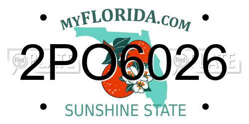2PO6026 Florida License Plate