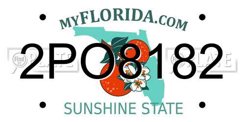 2PO8182 Florida License Plate