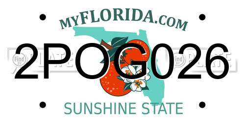 2POG026 Florida License Plate