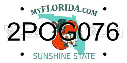 2POG076 Florida License Plate
