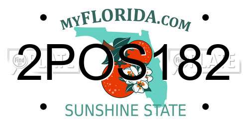 2POS182 Florida License Plate