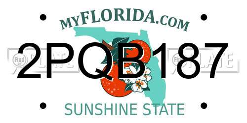 2PQB187 Florida License Plate