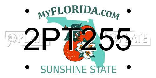 2PT255 Florida License Plate
