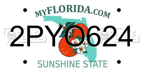 2PYO624 Florida License Plate