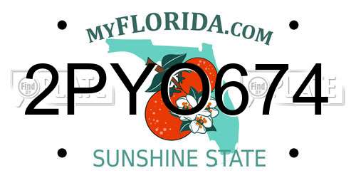 2PYO674 Florida License Plate