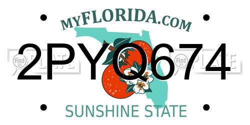 2PYQ674 Florida License Plate