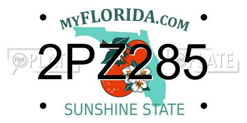 2PZ285 Florida License Plate