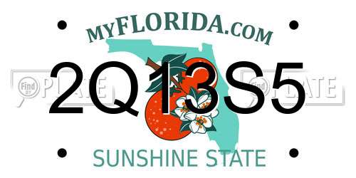 2Q13S5 Florida License Plate