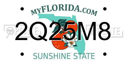2Q25M8 Florida License Plate