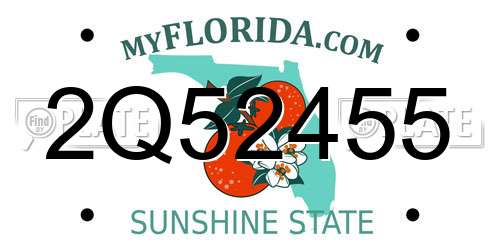 2Q52455 Florida License Plate