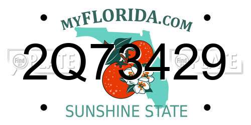 2Q73429 Florida License Plate