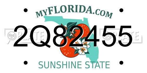 2Q82455 Florida License Plate