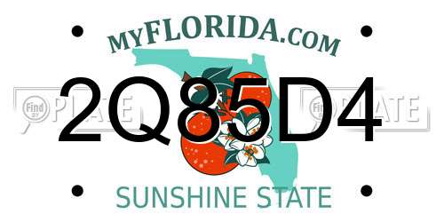 2Q85D4 Florida License Plate