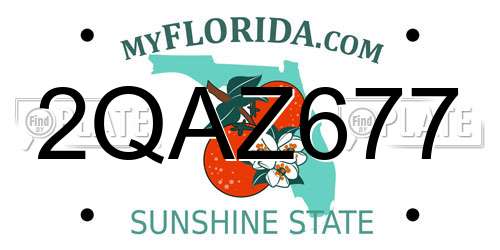 2QAZ677 Florida License Plate
