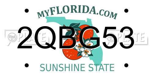 2QBG53 Florida License Plate