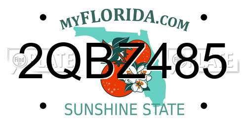 2QBZ485 Florida License Plate