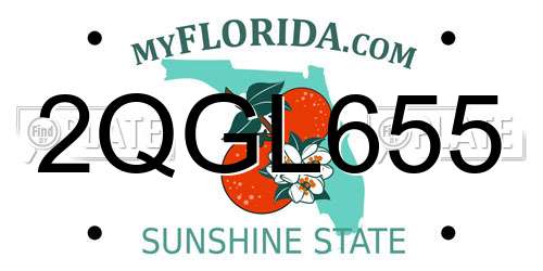 2QGL655 Florida License Plate
