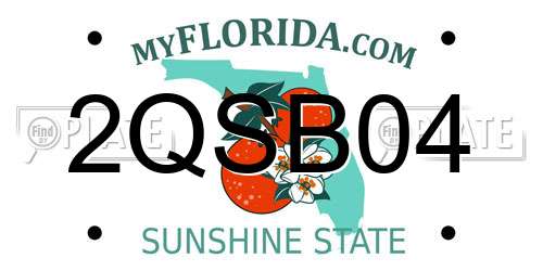 2QSB04 Florida License Plate