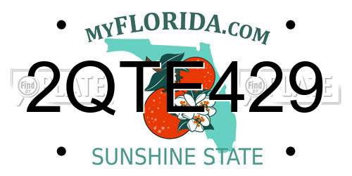 2QTE429 Florida License Plate