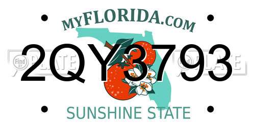 2QY3793 Florida License Plate