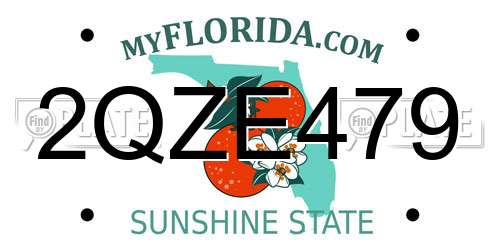 2QZE479 Florida License Plate