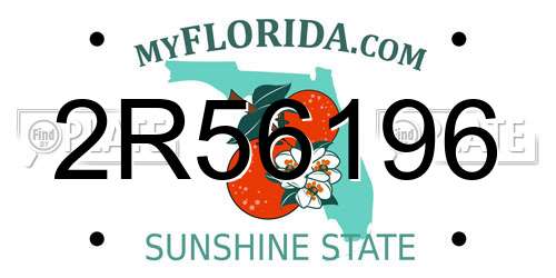 2R56196 Florida License Plate