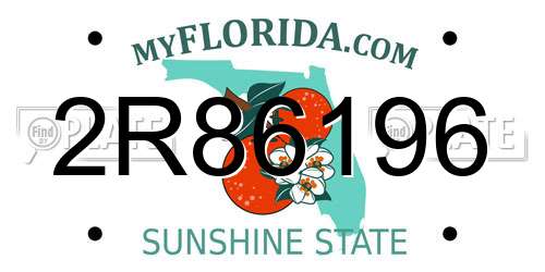 2R86196 Florida License Plate