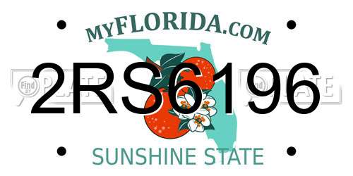 2RS6196 Florida License Plate