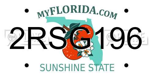 2RSG196 Florida License Plate