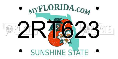 2RT623 Florida License Plate