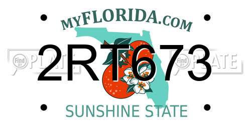 2RT673 Florida License Plate