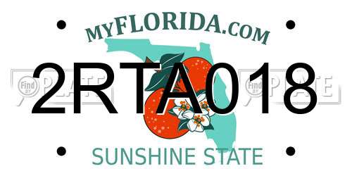 2RTA018 Florida License Plate