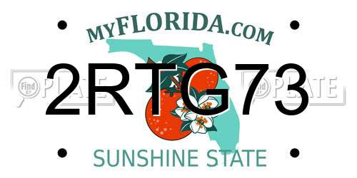 2RTG73 Florida License Plate