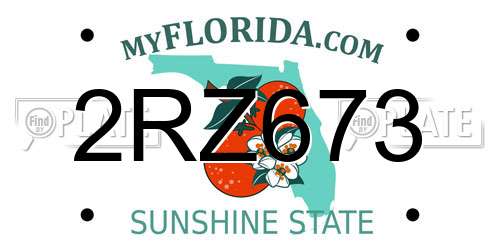 2RZ673 Florida License Plate