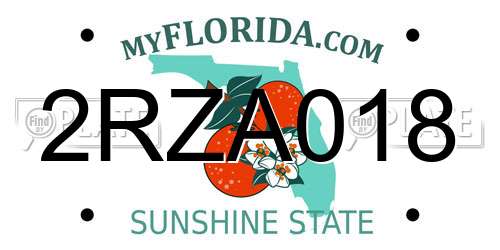 2RZA018 Florida License Plate
