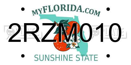 2RZM010 Florida License Plate