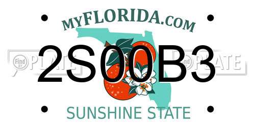 2S00B3 Florida License Plate