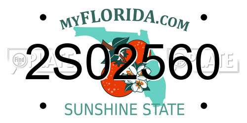 2S02560 Florida License Plate