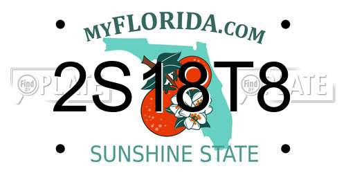 2S18T8 Florida License Plate