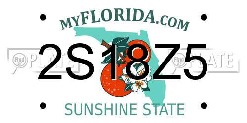 2S18Z5 Florida License Plate