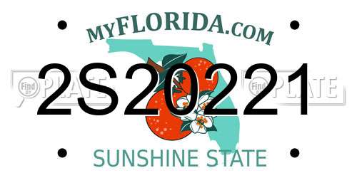 2S20221 Florida License Plate