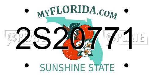 2S20771 Florida License Plate