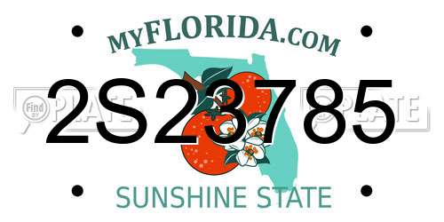 2S23785 Florida License Plate